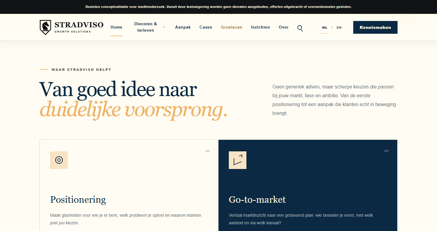Vroege Stradviso-positioneringsschets met een eerste richting voor marktbenadering en dienstverlening.
